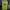 Supreme Streetwear Sportswear Sweatshirt Pria green photo 1
