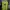 Supreme Streetwear Sportswear Sweatshirt Pria Green