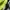 Supreme Streetwear Sportswear Sweatshirt Pria green photo 6