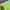 Supreme Streetwear Sportswear Sweatshirt Pria green photo 5