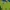 Supreme Streetwear Sportswear Sweatshirt Pria green photo 3