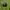 Supreme Streetwear Sportswear Sweatshirt Pria green photo 4