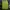 Supreme Streetwear Sportswear Sweatshirt Pria green photo 2