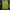 Supreme Streetwear Sportswear Sweatshirt Pria Green