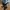 Casual Stroller Kids black gray photo 4