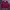 Champion Vintage Streetwear Bomber jacket Pria red photo 1