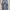 Cardinal Luxury Jeans Pria multicolor photo 3
