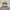 Polo Ralph Lauren Gorpcore Casual Parka Pria tan cream photo 3