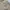 Polo Ralph Lauren Gorpcore Casual Parka Pria tan cream photo 4