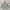 Polo Ralph Lauren Gorpcore Casual Parka Pria tan cream photo 2