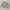 Polo Ralph Lauren Gorpcore Casual Parka Pria tan cream photo 1