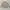 Polo Ralph Lauren Gorpcore Casual Parka Pria Tan Cream