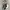 MLB Sportswear Casual Leather jacket Pria white black photo 3
