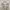 Columbia Sportswear Casual Parka Pria khaki cream photo 3