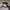 Nike Skater Sportswear Sneakers Pria purple photo 7