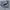 Polo Ralph Lauren Casual Formal Shirt Pria Blue