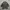 Streetwear Casual Pea coat Pria brown photo 4