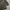 Streetwear Casual Pea coat Pria brown photo 3