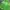 Uniqlo Sportswear Casual Track jacket Pria green photo 5