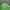 Uniqlo Sportswear Casual Track jacket Pria green photo 2