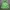 Uniqlo Sportswear Casual Track jacket Pria green photo 1