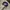 Y2K Hat Pria navy photo 4