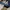 Y2K Hat Pria navy photo 5