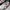 Nike Streetwear Sneakers Pria white photo 1