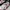 Nike Streetwear Sneakers Pria White