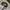 Vintage Streetwear Hat Pria white brown photo 4