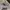 Vintage Streetwear Hat Pria Multicolor