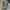 Realtree Vintage Y2K Hat Pria Multicolor