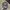 Realtree Vintage Streetwear Hat Pria Multicolor