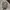 Realtree Vintage Streetwear Hat Pria Multicolor