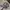 Realtree Vintage Streetwear Hat Pria Multicolor