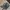 Realtree Vintage Y2K Hat Pria Multicolor