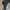 Vintage Streetwear Hat Pria black gray photo 2
