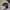 Vintage Streetwear Hat Pria black gray photo 5