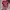 Vintage Y2K Hat Pria red photo 2