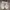 Streetwear Casual Sneakers Pria white green photo 1
