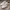 Streetwear Casual Sneakers Pria white green photo 3