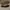 Converse Streetwear Casual Sneakers Pria white black photo 4