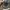 Converse Streetwear Casual Sneakers Pria white black photo 8