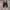 Converse Streetwear Casual Sneakers Pria white black photo 1