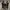 Converse Streetwear Casual Sneakers Pria white black photo 3