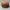 Kangol Vintage Luxury Hat Pria brown photo 5