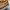 Kangol Vintage Luxury Hat Pria brown photo 6