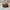 Kangol Vintage Luxury Hat Pria brown photo 4