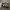 VANS Skater Sneakers Pria white black photo 2