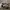 VANS Skater Sneakers Pria White Black